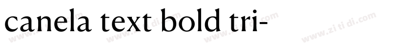 canela text bold tri字体转换
